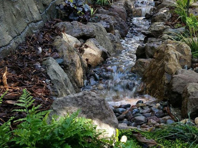 Aquascapes, Pittsburgh, PA